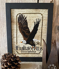 Spirits of the Woods - Eagle