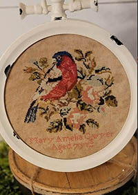Mary Amelia's Bird