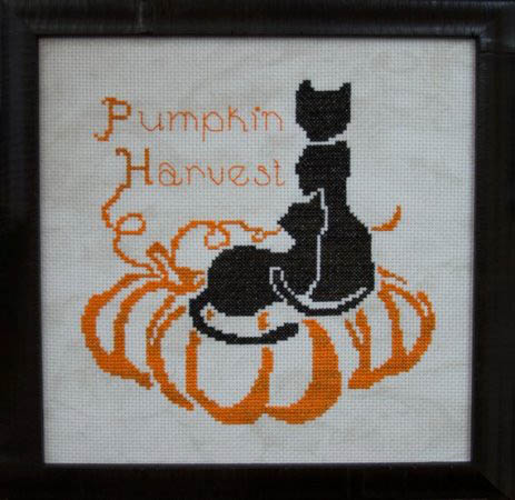 Pumpkin Harvest