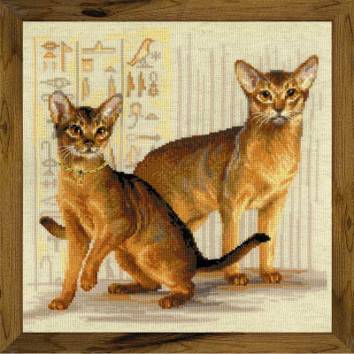 Abyssinian Cats Kit