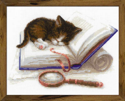 Kitten on the Book Kit