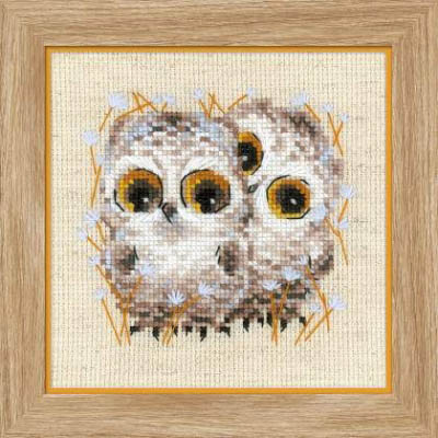 Little Owls Kit
