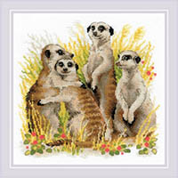 Meerkats Kit