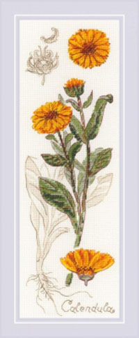 Calendula Kit