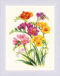Fragrant Freesia Kit