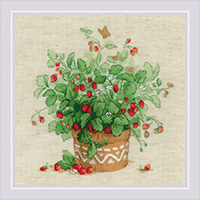 Strawberries in a Pot Kit