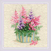 Astilbe Kit