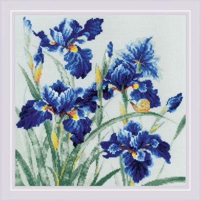 Blue Irises Kit