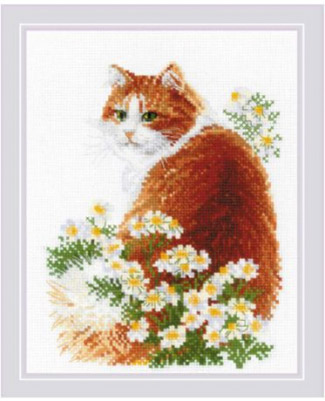 Ginger Meow Kit
