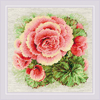 Begonia Kitment Kit