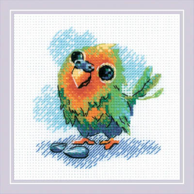 Little Parrot Kit