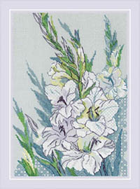 White Gladioli Kit