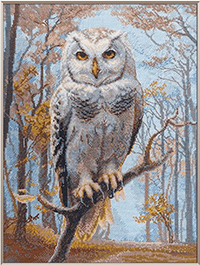 Woodland Owl Kit