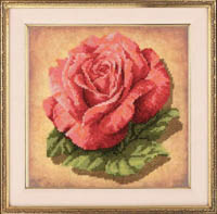 Rose Kit