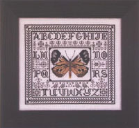 Golden W.C. Butterfly             