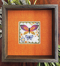 Butterfly Blooms Summer