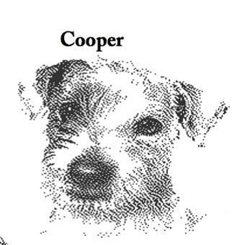 Dogs - Cooper