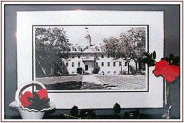 Pin & Ink - Christopher Wren Building