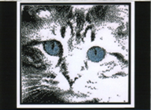 Its All In The Eyes #2 - Mr.Belvedere
