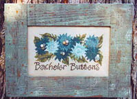 Bachelor Button