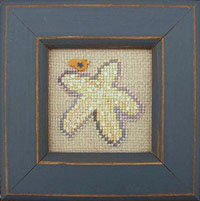 Pearls:  Starfish