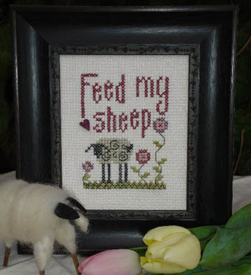Feed My Sheep Kit