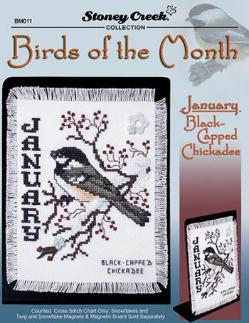 Birds of the Month - January