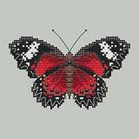 Lacewing Butterfly