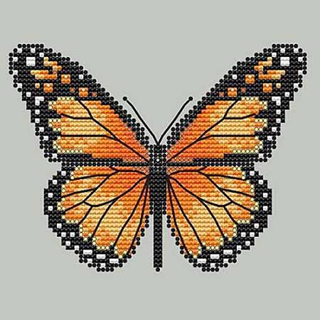 Monarch Butterfly