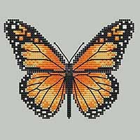 Monarch Butterfly