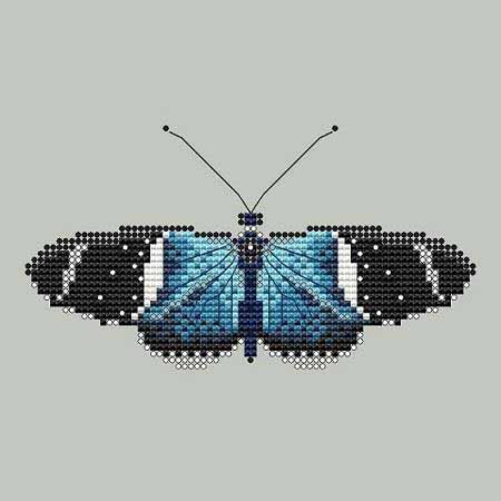 Sara Longwing Butterfly