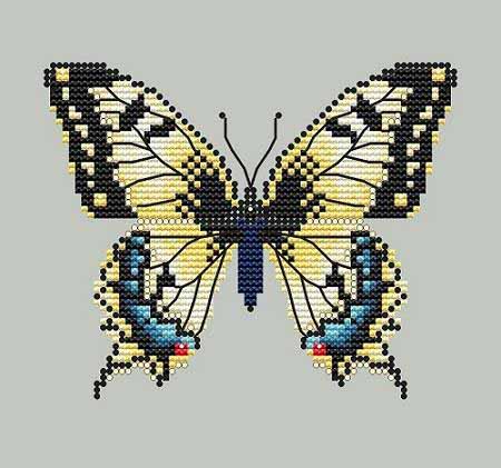 Yellow Swallowtail Butterfly