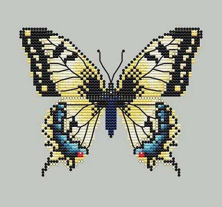 Yellow Swallowtail Butterfly