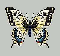 Yellow Swallowtail Butterfly