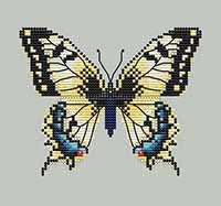 Yellow Swallowtail Butterfly