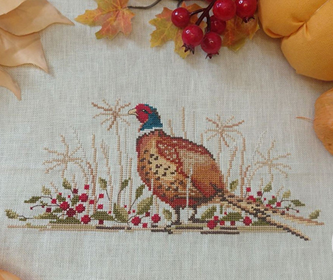 Pheasant