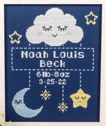 Birth Sampler