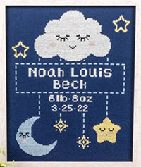 Birth Sampler
