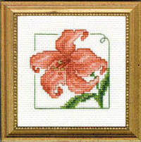 Carolyn's Garden - Day Lily Kit