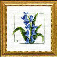 Carolyn's Garden - Bluebell Kit