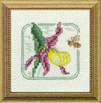 Carolyn's Meadow -Lady's Slipper Kit