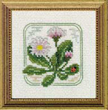 Carolyn's Meadow -English Daisy Kit