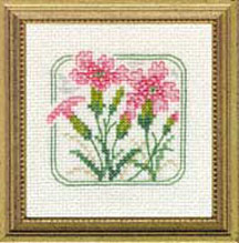 Carolyn's Meadow -Maiden Pink Kit