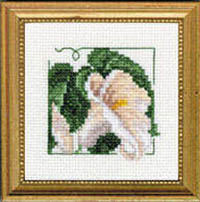 Carolyn's Garden - Calla Lily Kit