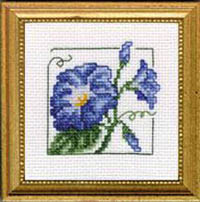 Carolyn's Garden - Morning Glory Kit
