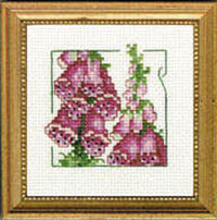 Carolyn's Garden - Foxglove Kit