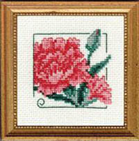 Carolyn's Garden - Carnation Kit