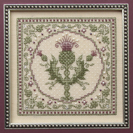 Scottish Thistle