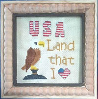 Reflections Of USA #1