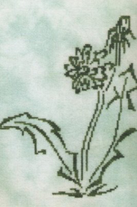 Whispy Flower